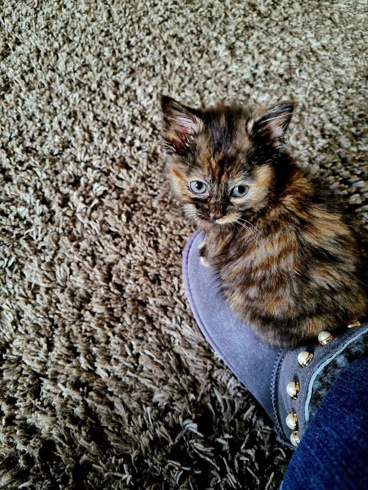 Photograph by Hanna Bourne