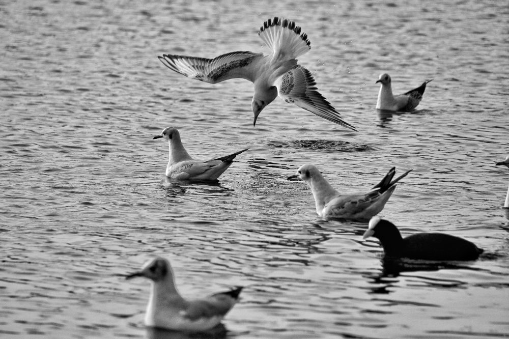 Photograph by Teodora Codreanu