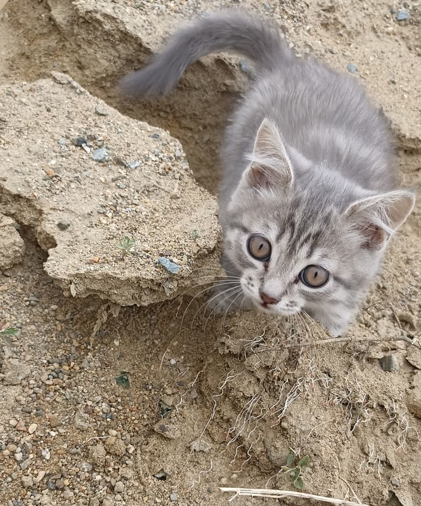 Первая прогулка