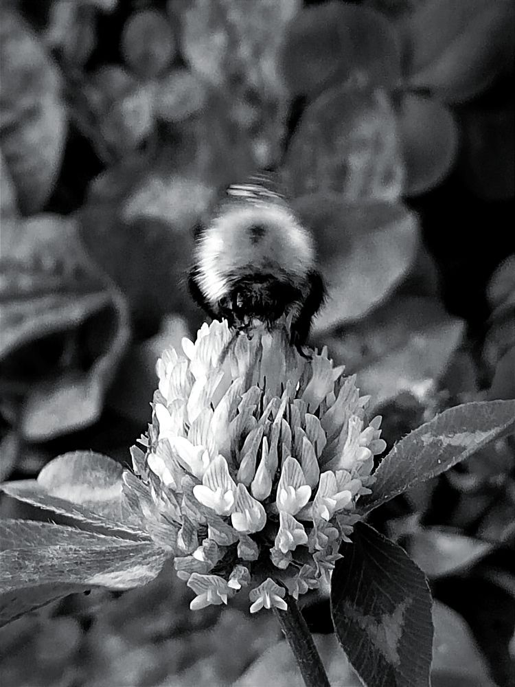 Photograph by Galina Novichkova