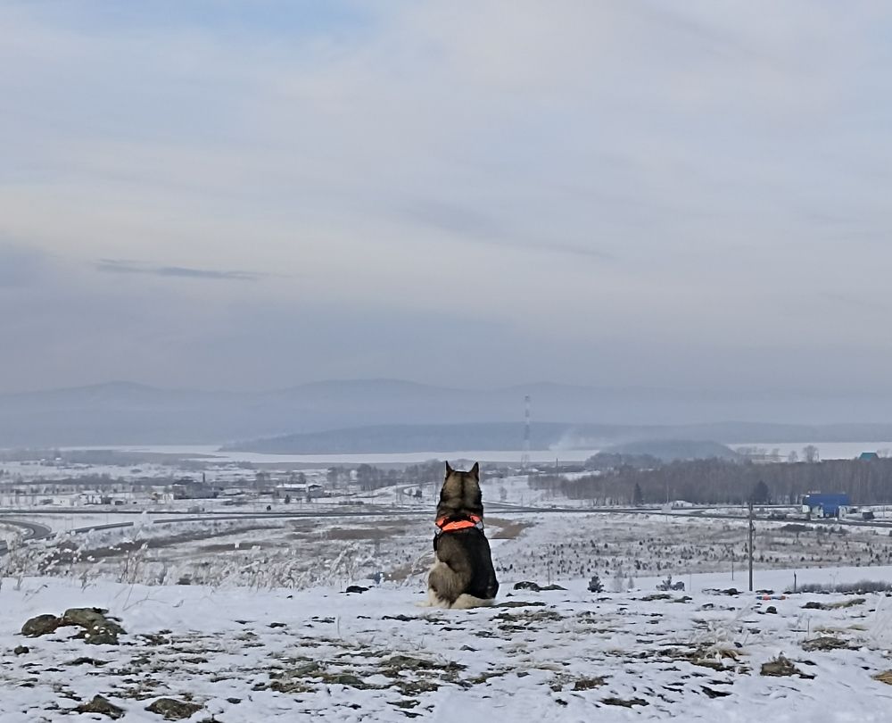 Размышления