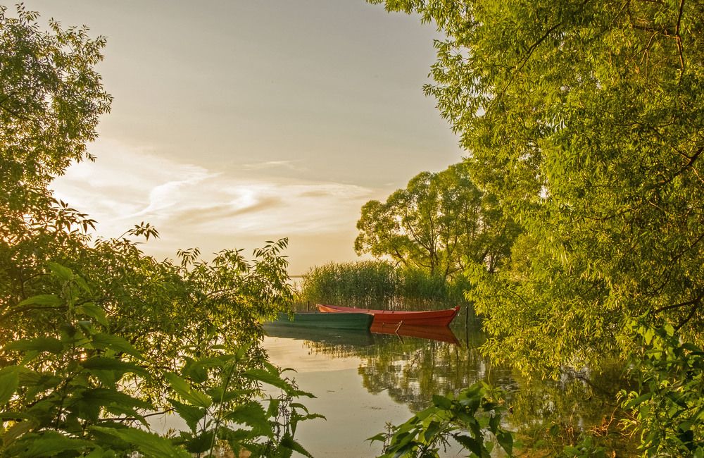 Фотография автора Наталья Липовская