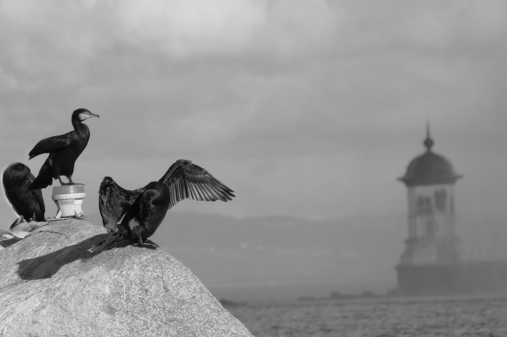 Photograph by Lena Feldman