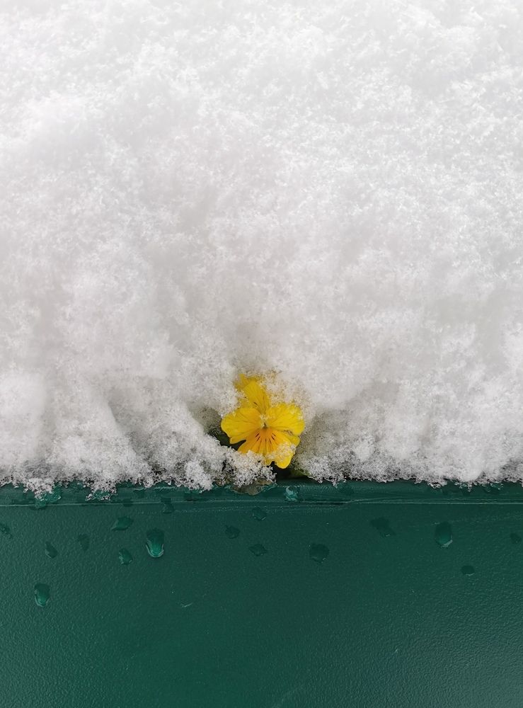 Photograph by Ralitsa Byalkova