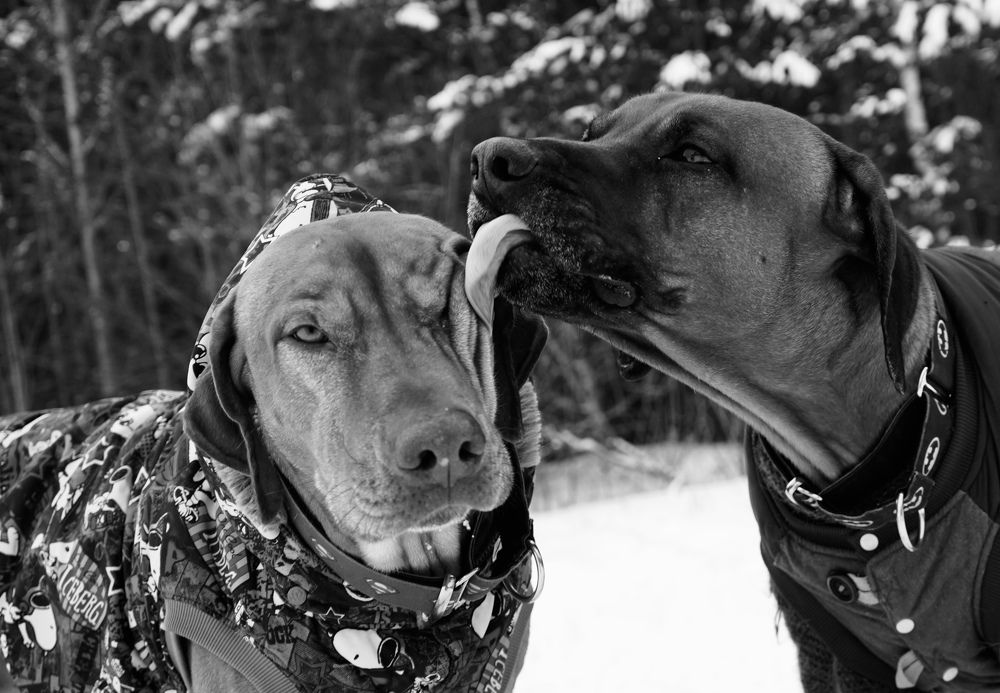 Photograph by Ксения Рош