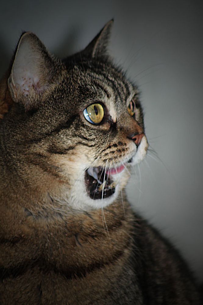 Photograph by Диана Ульянцева