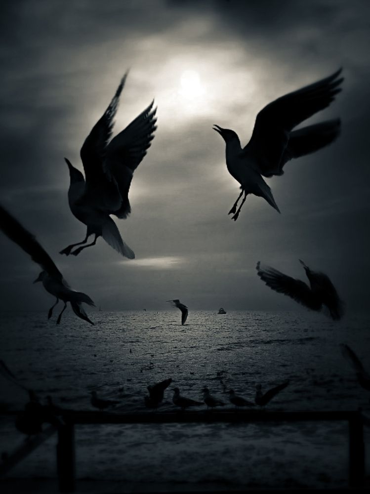 Photograph by СашаДД_