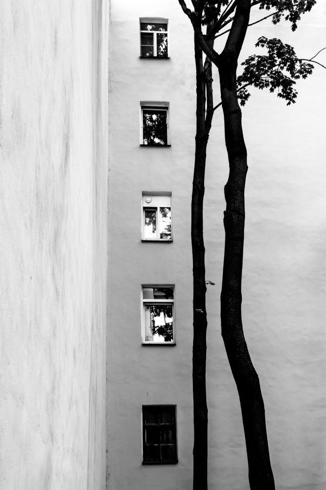 Photograph by Aljona Dyachenko