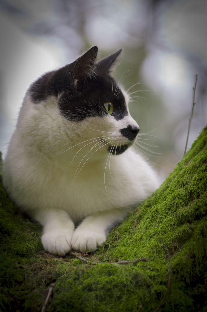 Photograph by Adaya Iglesias