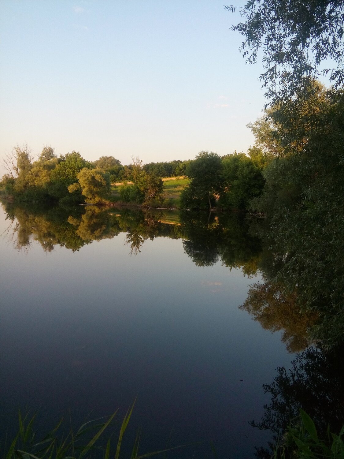 Photo #8763812