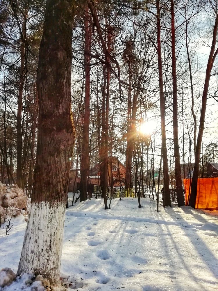 Фотография автора Альбина Хвастунова