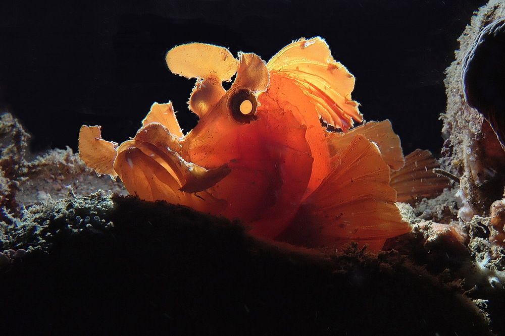 Фотография автора Владимир Чубенко