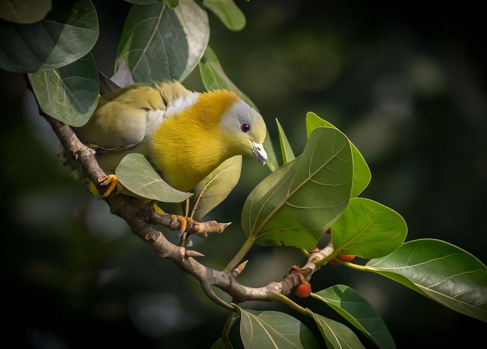 Photograph by Tanvir Ahmed