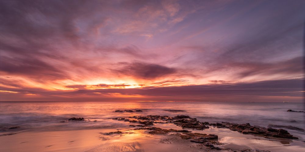 Photograph by JUANITA MARCHESANI