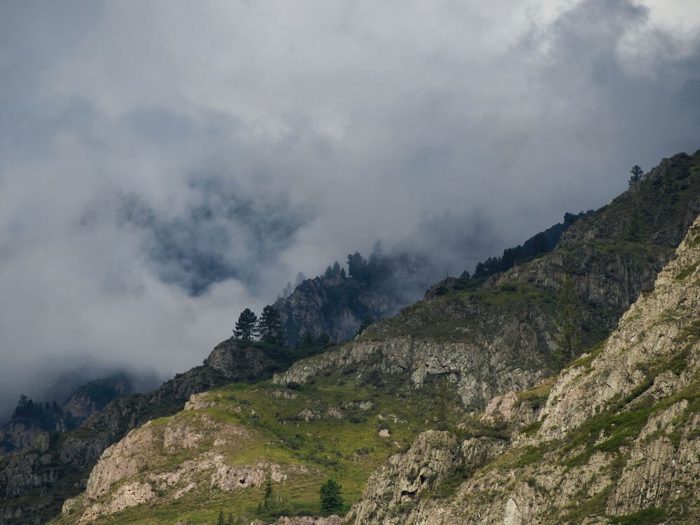 Фотография автора Георгий Муравьёв