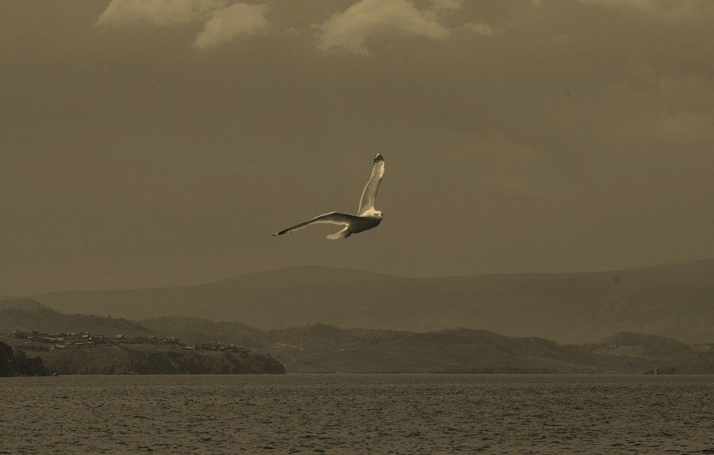 Photograph by Елена Алешкевич