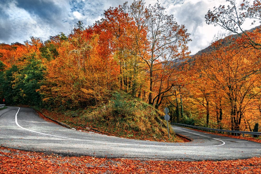 Photograph by Виталий Шкадинов