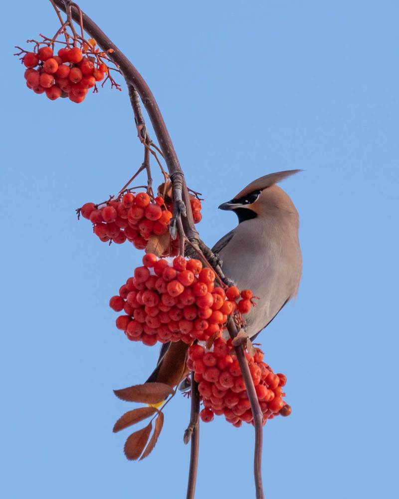 Photograph by Виталий Бодрягин