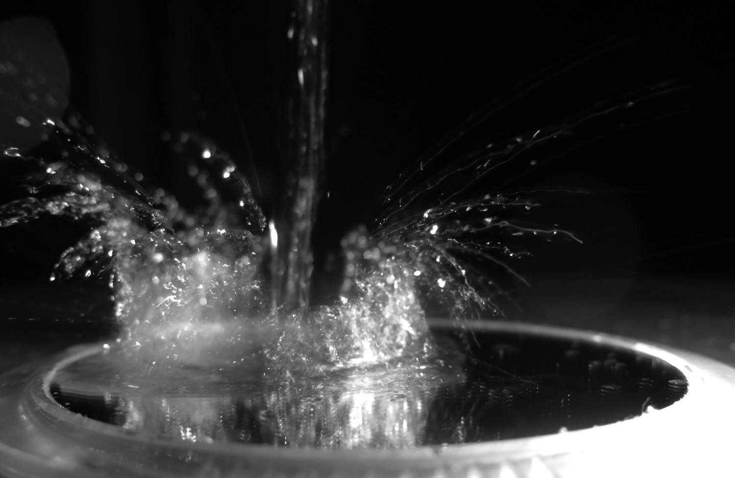 Photo #8764074