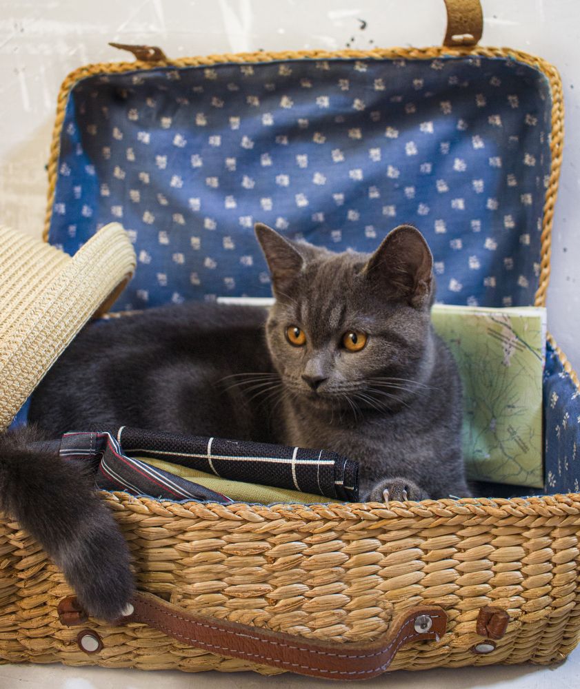 Photograph by Тараненко Анастасия