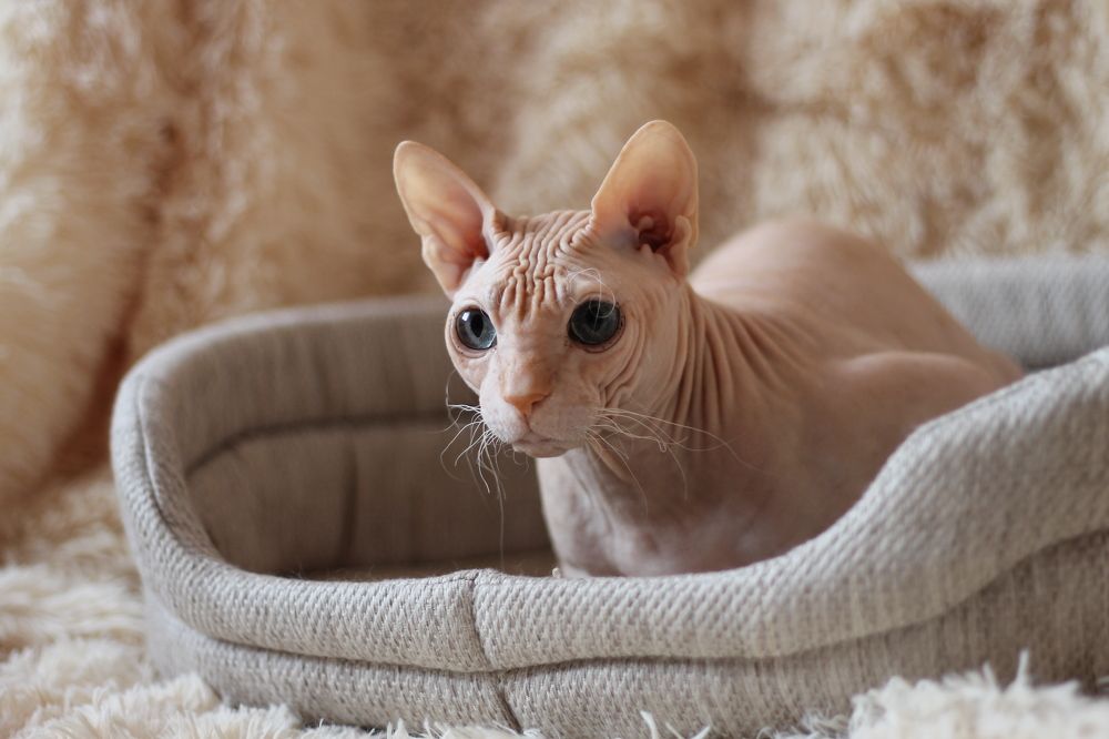 Photograph by Мария Чернявская