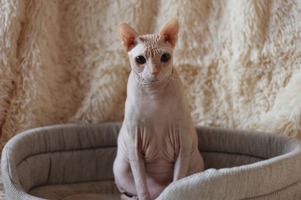 Photograph by Мария Чернявская