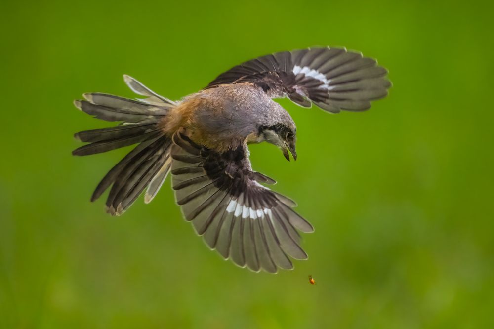 Photograph by Lucas Oh