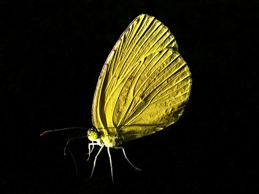 Photograph by Angelica Gutierrez