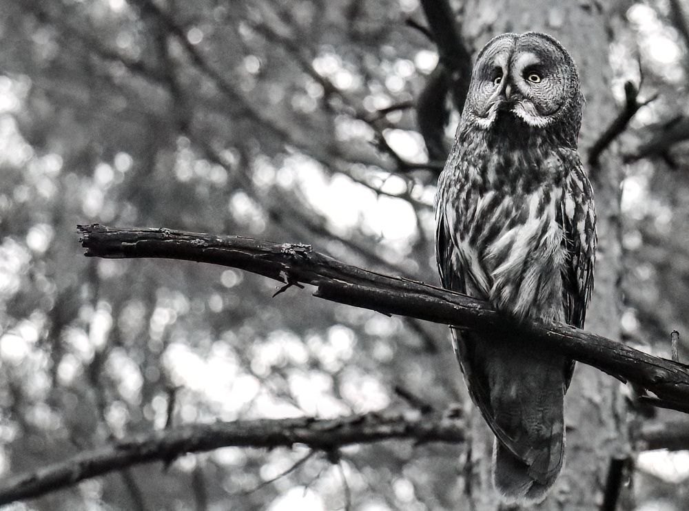 Photograph by Михаил Тиханович