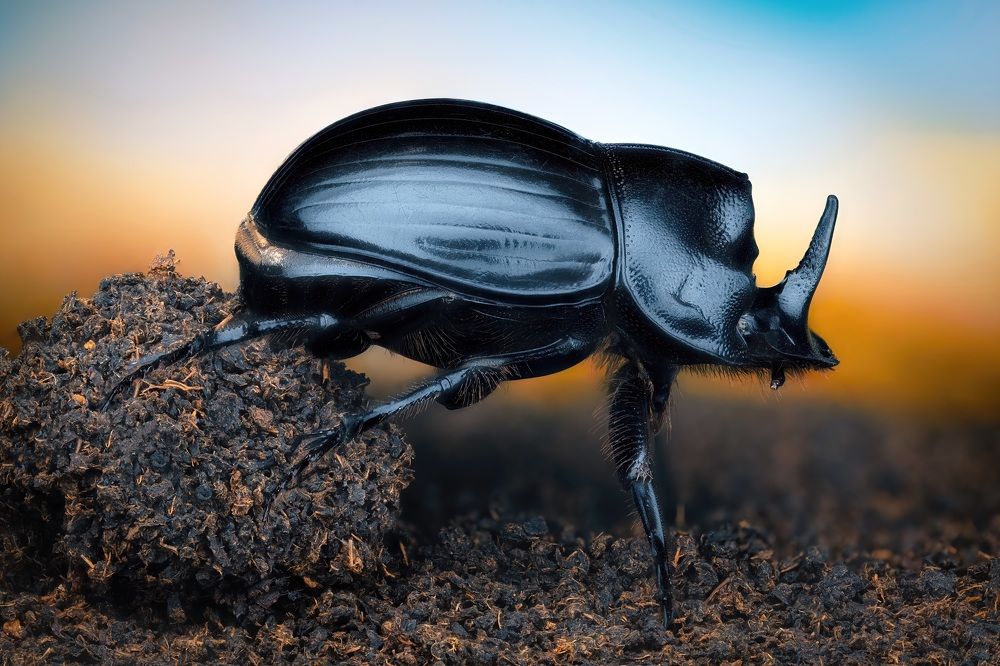 Photograph by Антон Орленко