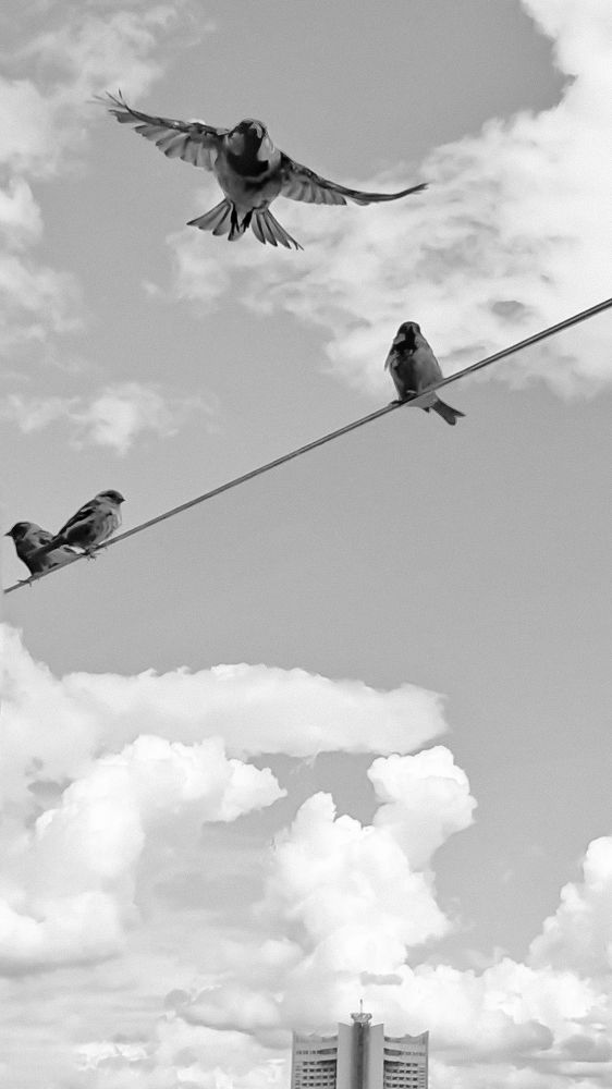 Photograph by Оксана Корепанова