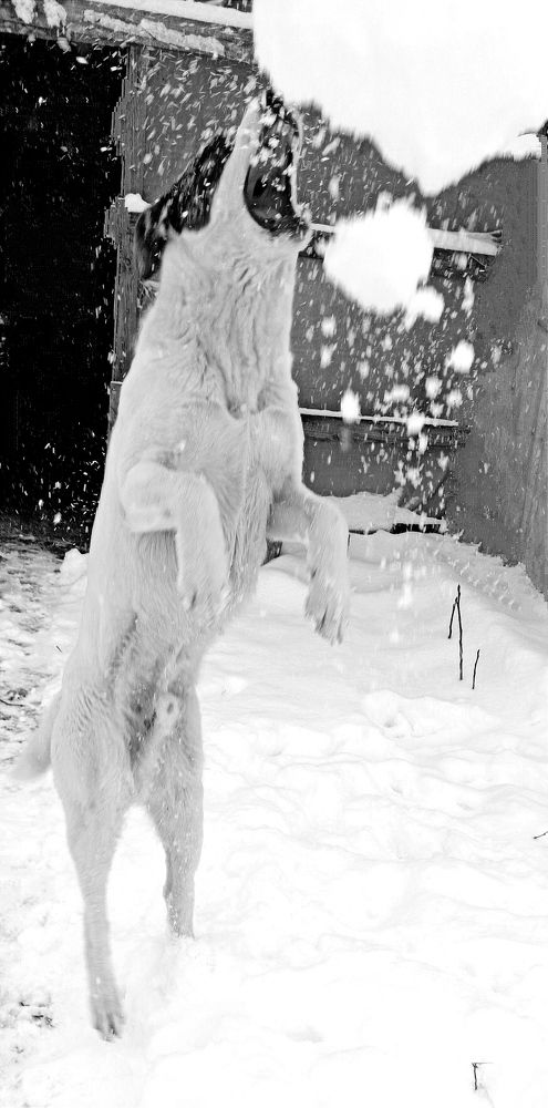 Photograph by Татьяна Долгушева