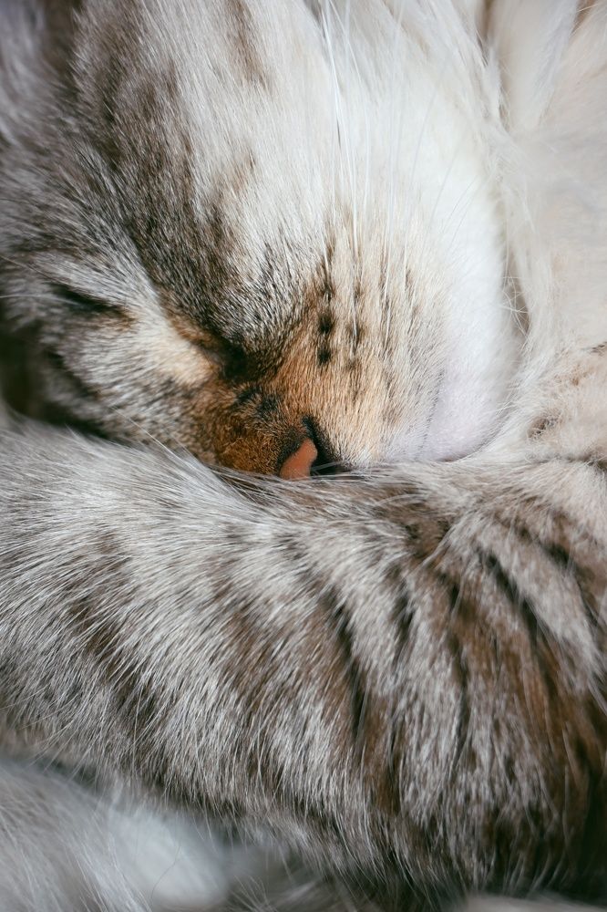 Фотография автора Ola La