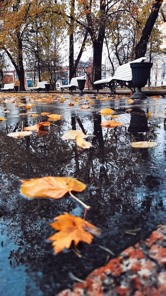 Photograph by Юлия Серазетдинова