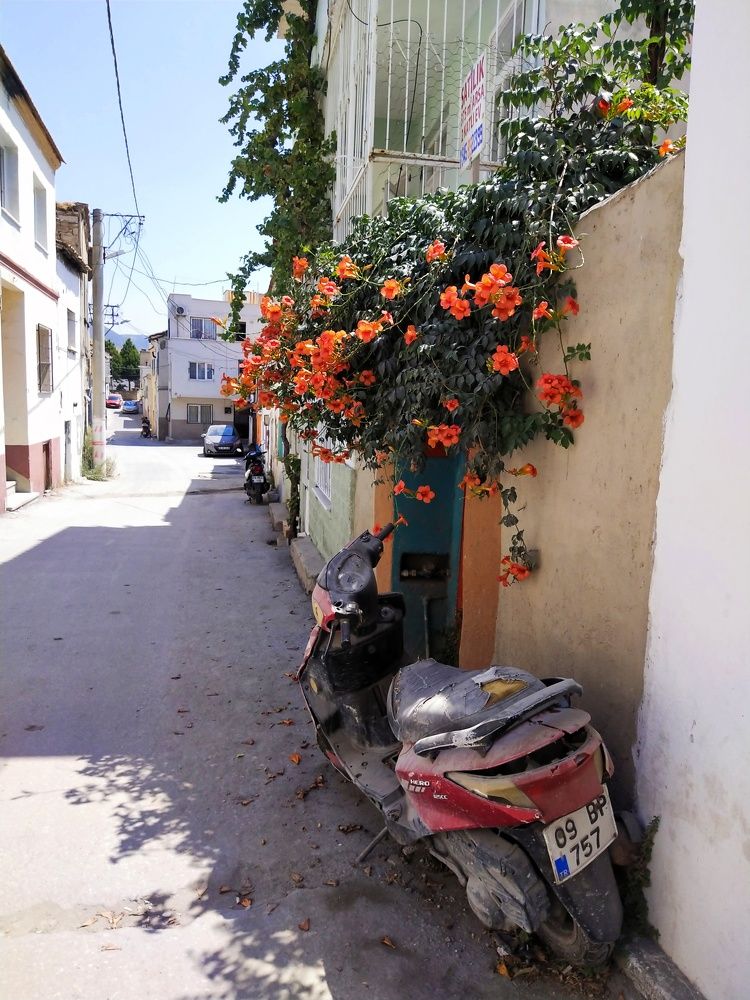 Фотография автора Ola La