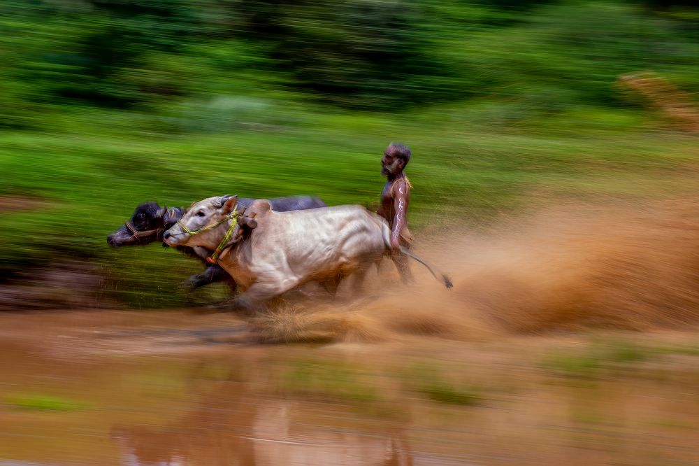 Photograph by Madhusudhanan Nair