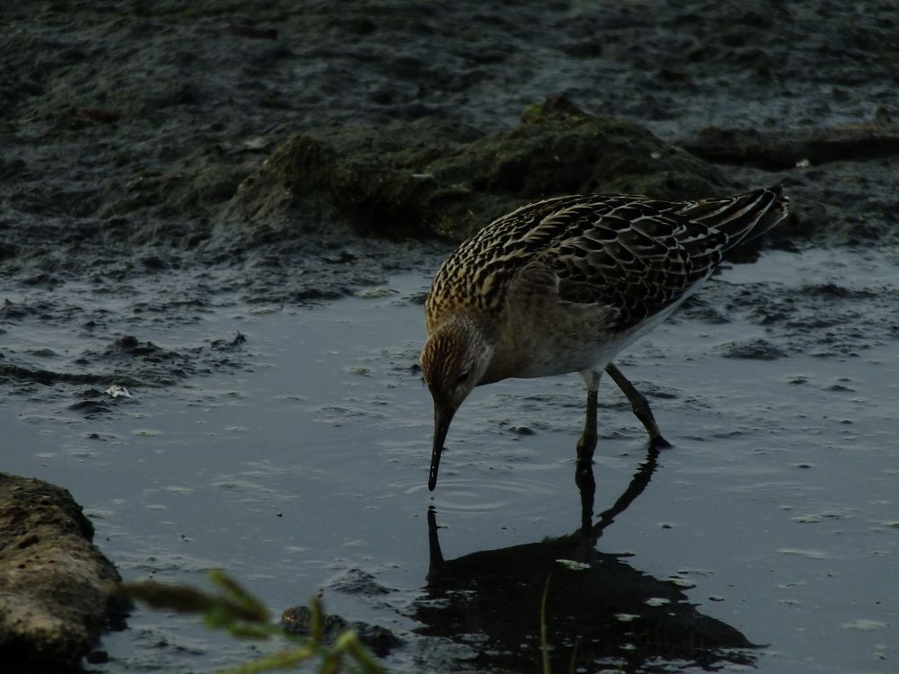 Photograph by Сергей Горбунов