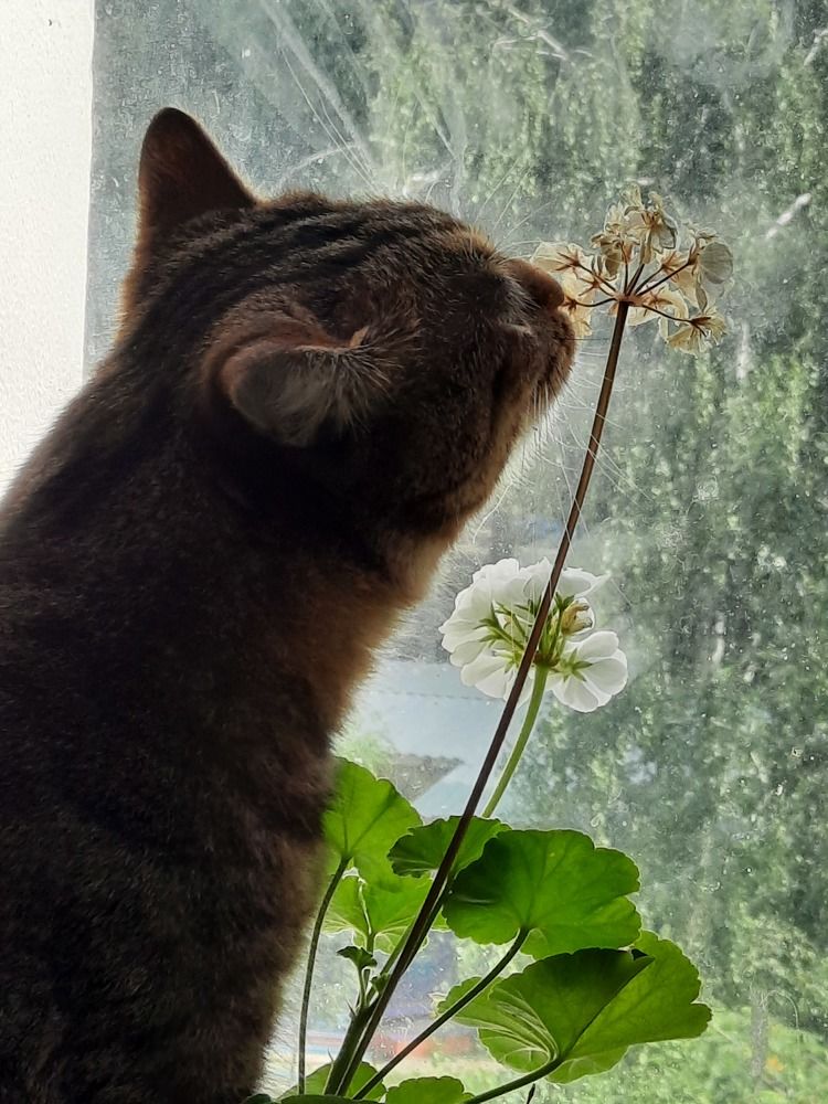 Photograph by Юлия