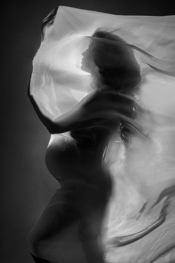 Photograph by Ava Parvaneh