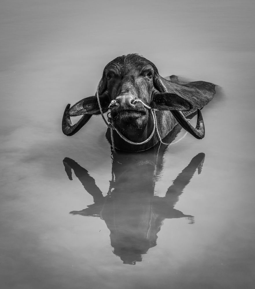 Photograph by Jahid Hasan