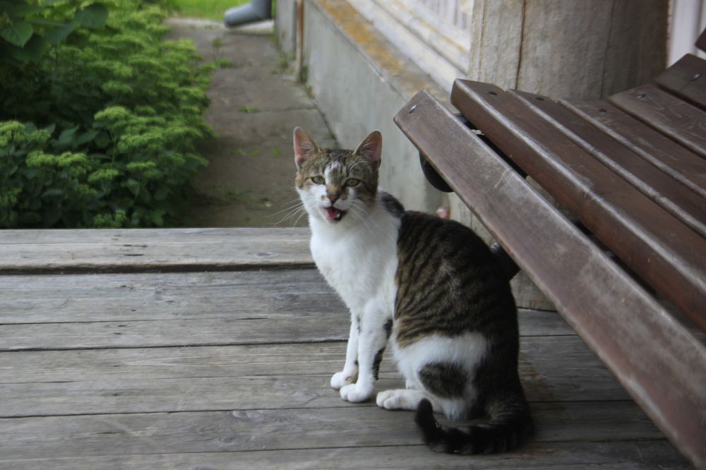 Photograph by Юлия