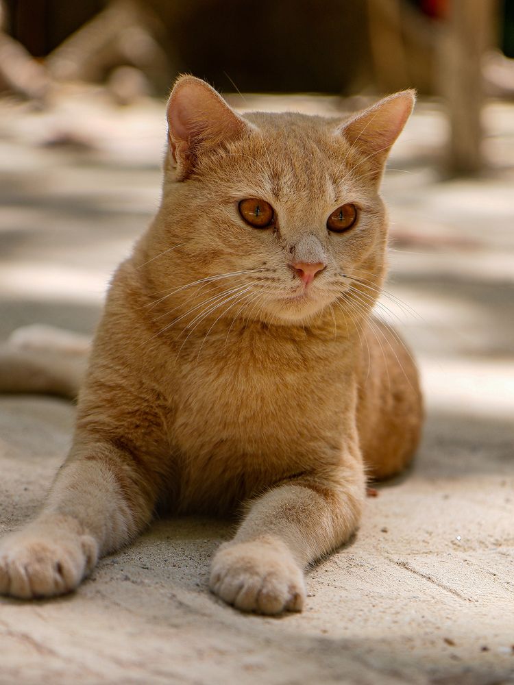 Photograph by Екатерина Слепнева