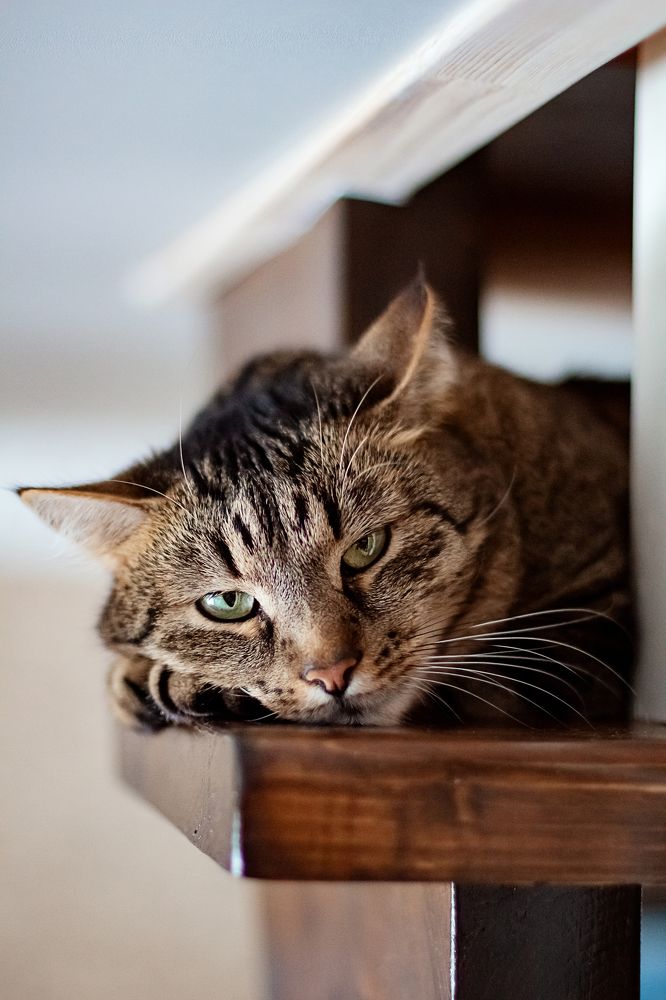 Photograph by Ольга Щерба