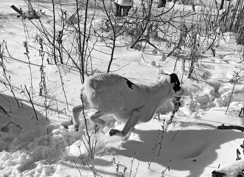Фотография автора Таня Долгушева