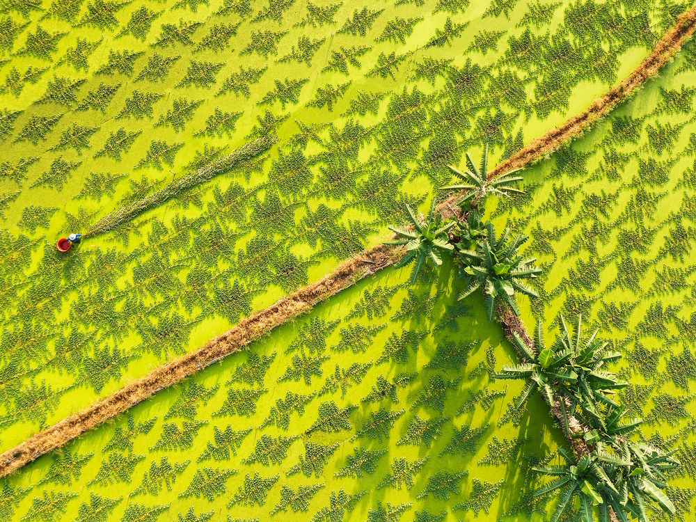 Photograph by Dinh Phong