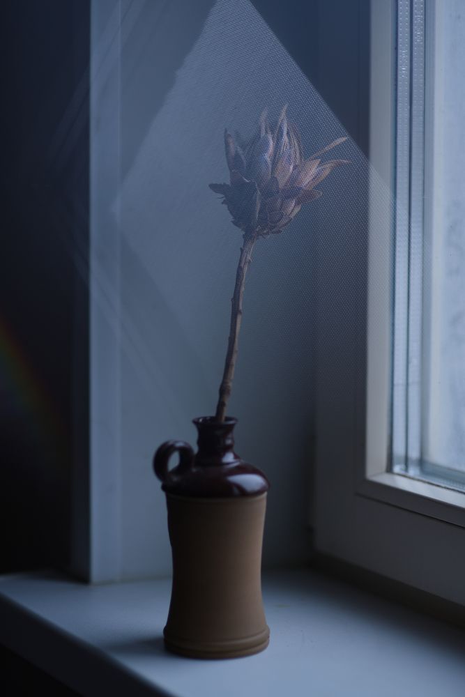 Утренний натюрморт