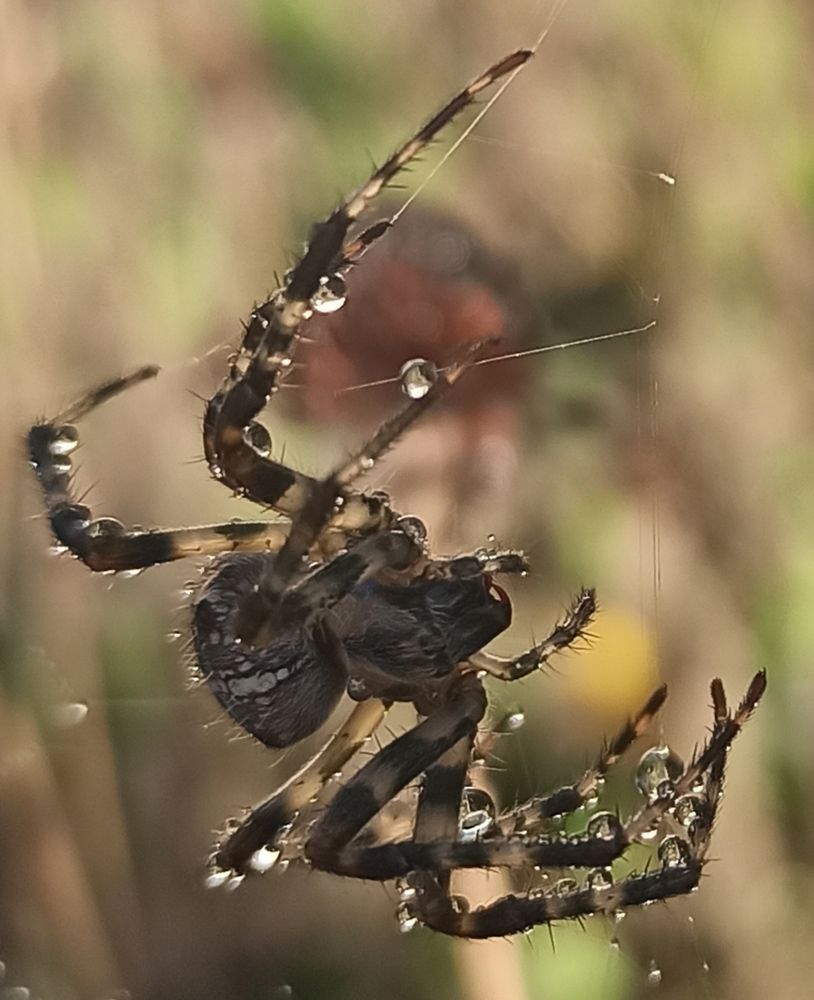 Photograph by Ольга Тихонова