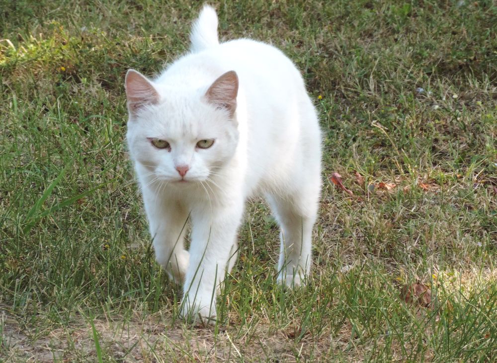 Photograph by Елена Андреевна