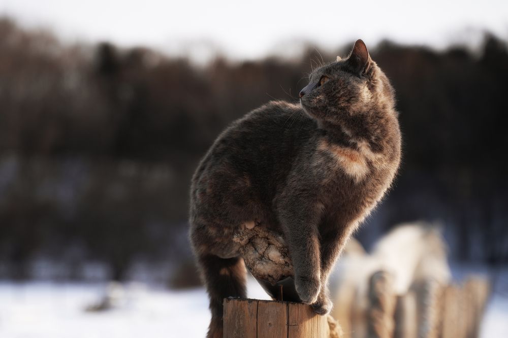 Photograph by Оксана Сальникова