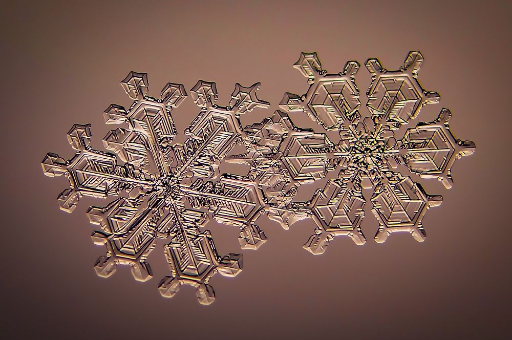 Photograph by андрей захаров